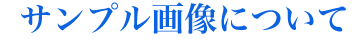 サンプルについて